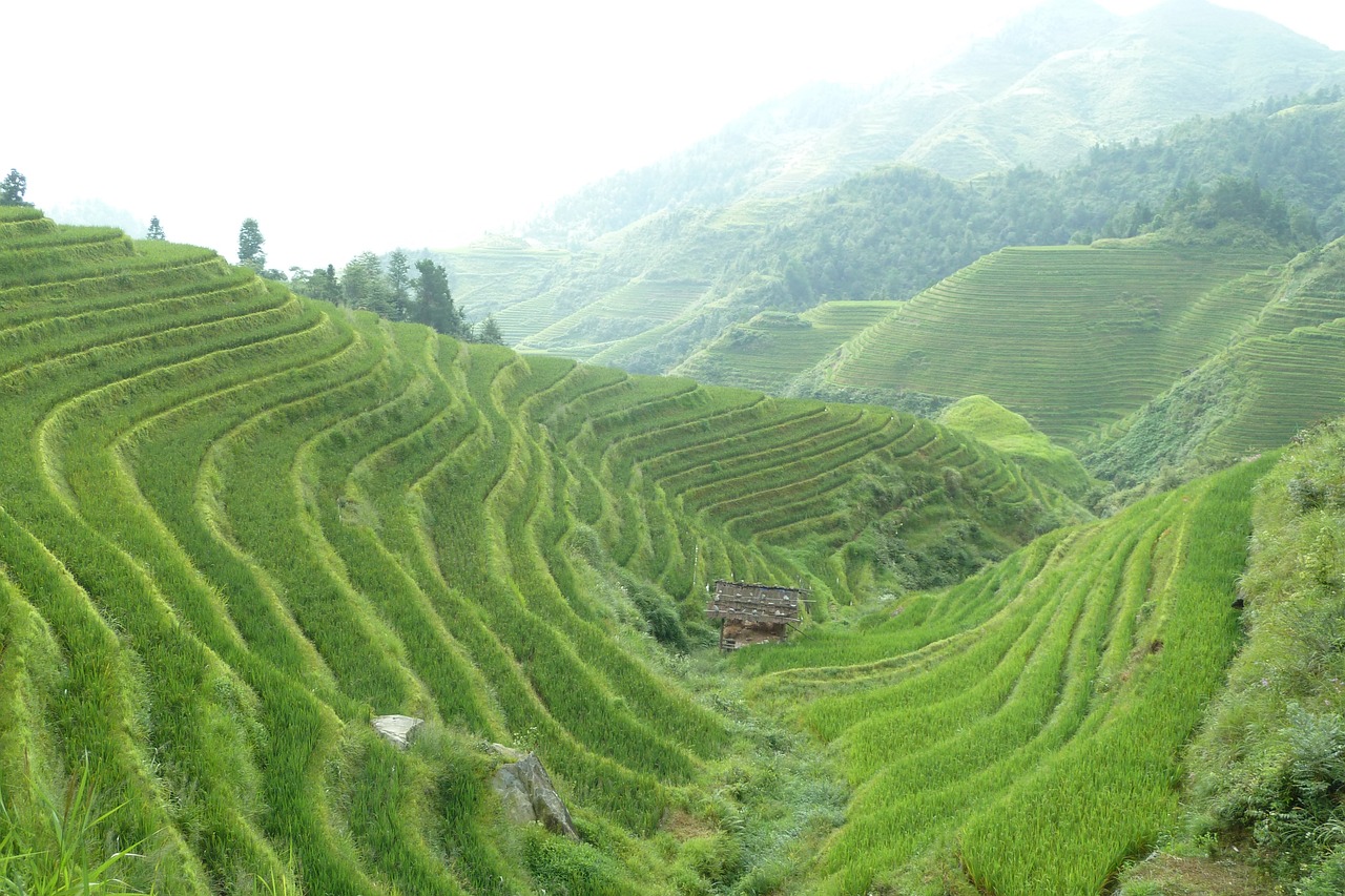 Essential Eco-Friendly Farm Survival Tips